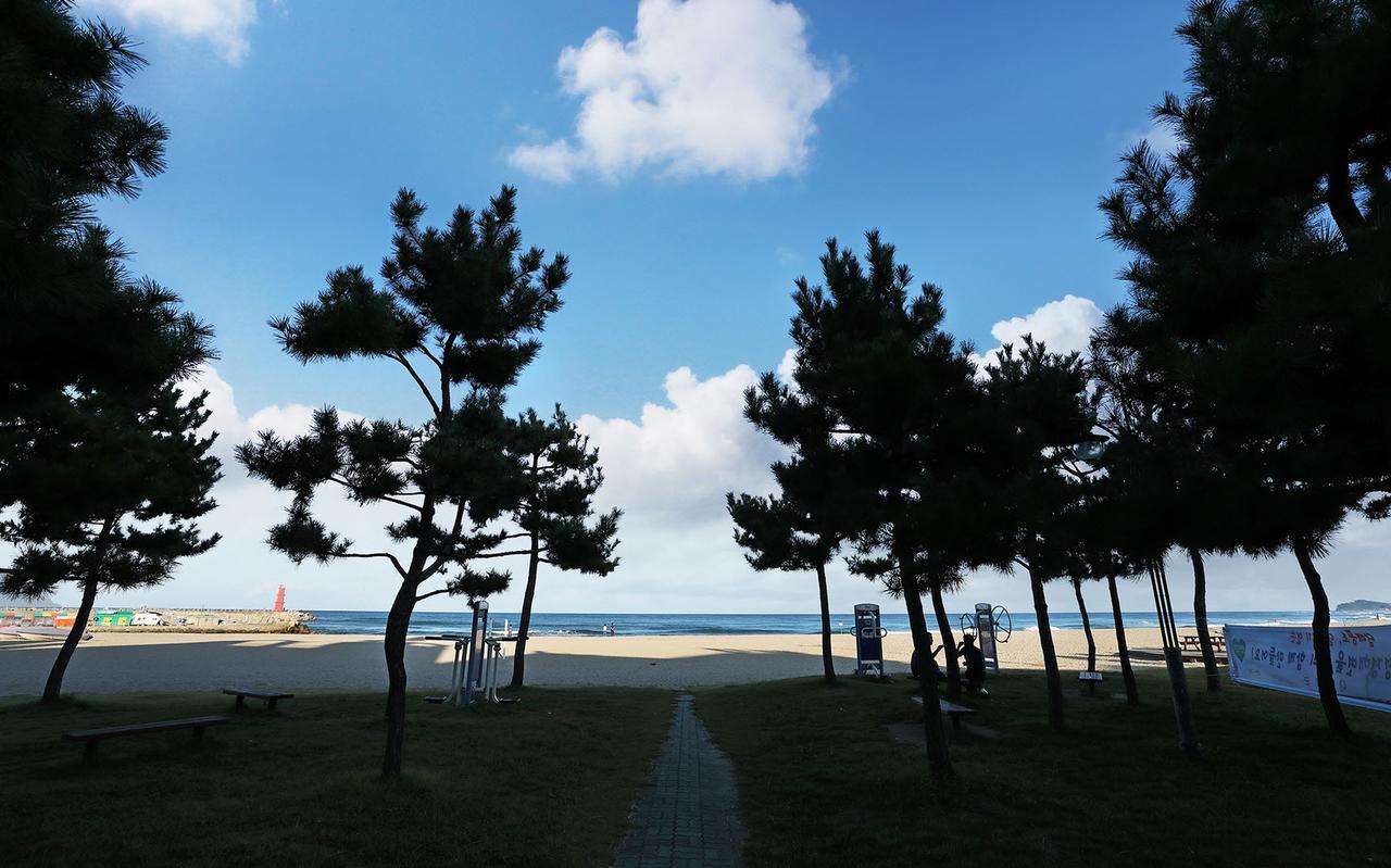 יאנגיאנג Naksan World Beach מראה חיצוני תמונה